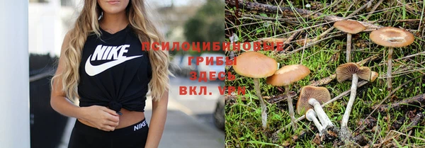 меф Кулебаки